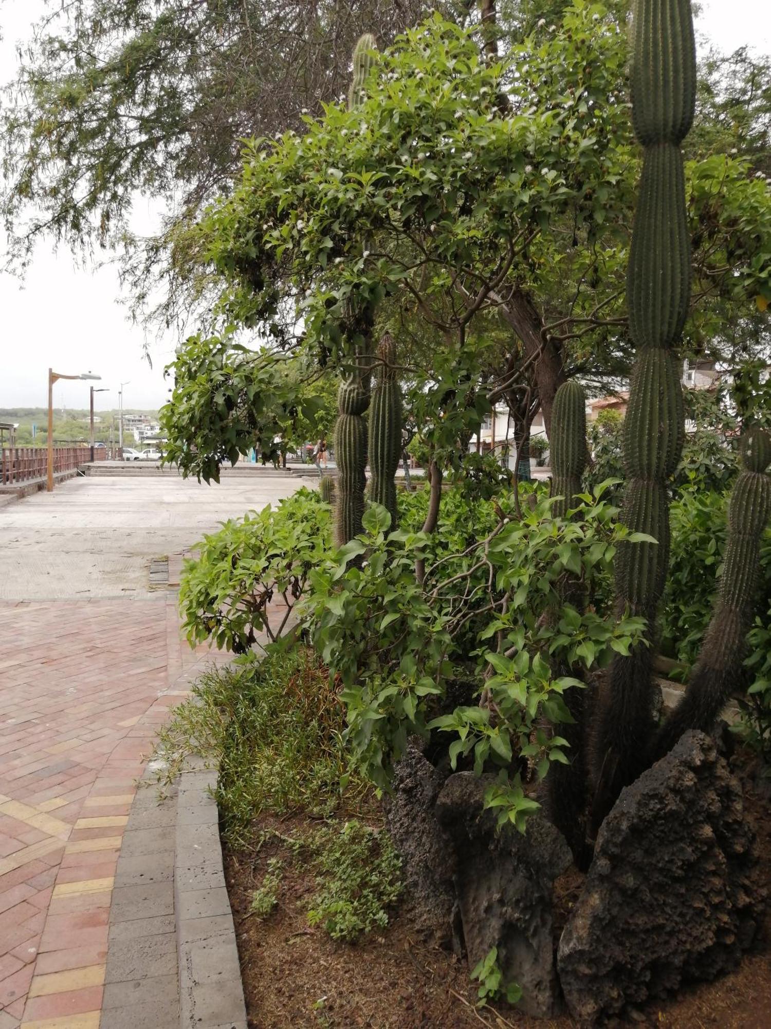 Hostal La Casa De Luis 푸에르토 바케리조 모레노 외부 사진